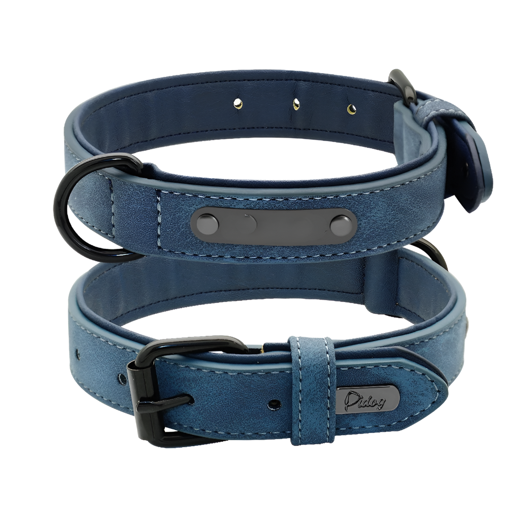 Leather Engraved Dog Collar