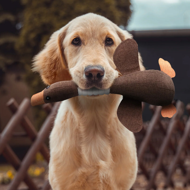 PetPlay – Plush Duck Dog Toy