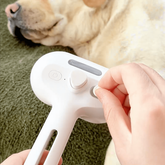 Cepillo de vapor BrushPaw para perros