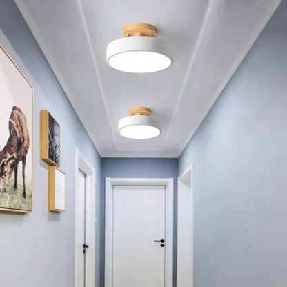 Modern Floor Lamp with LED and Colour Options