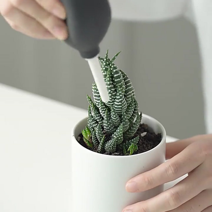 Conjunto de Ferramentas para Plantar Suculentas (8 Peças)