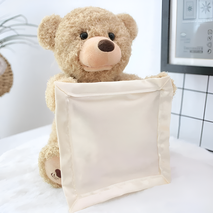 Peek-A-Boo-Teddy - Interdraft Cuddle Toy