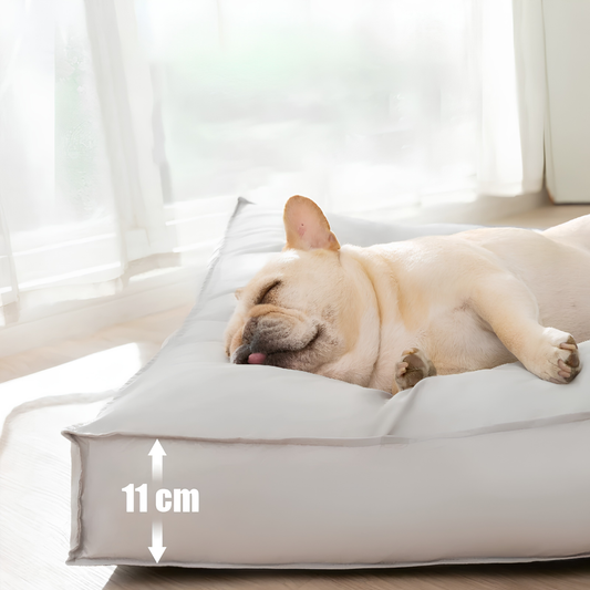 Coussin orthopédique imperméable pour chien
