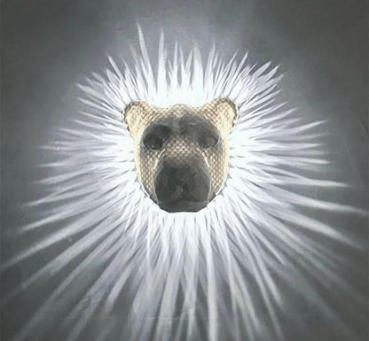 3D Animals | LED Wall Light