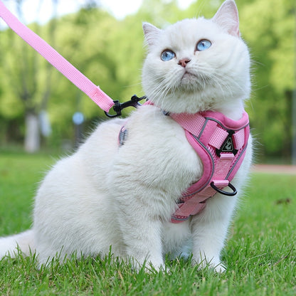 Reflecterend kattentuigje met riem - ideaal voor wandelingen en training