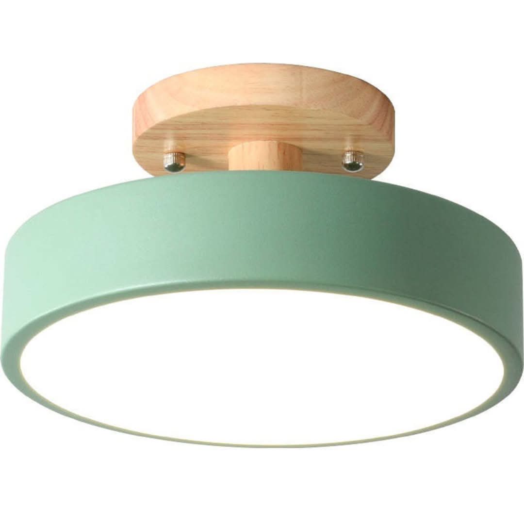 Quinn Modern LED Ceiling Light