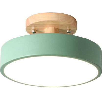 Quinn Modern LED Ceiling Light