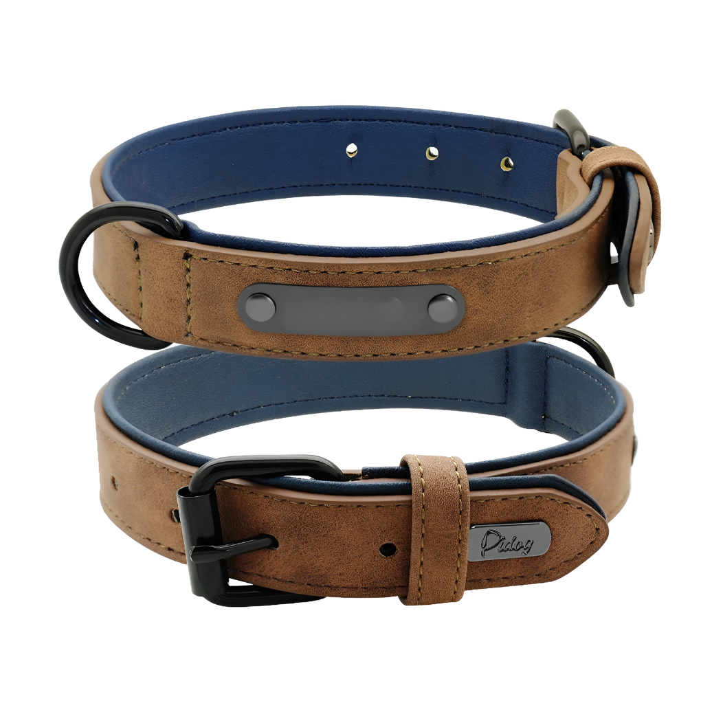 Leather Engraved Dog Collar