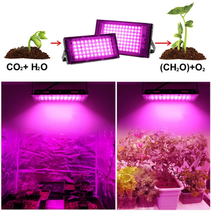 LumoGrow – Full Spectrum LED Grow Light with Remote Control