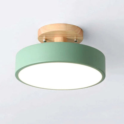Quinn Modern LED Ceiling Light