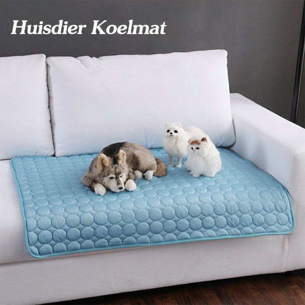 Cooling Mat for Pets in Summer