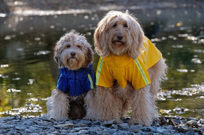 PupJoy - Impermeabile riflettente per cani + cappuccio - Per passeggiate notturne sicure