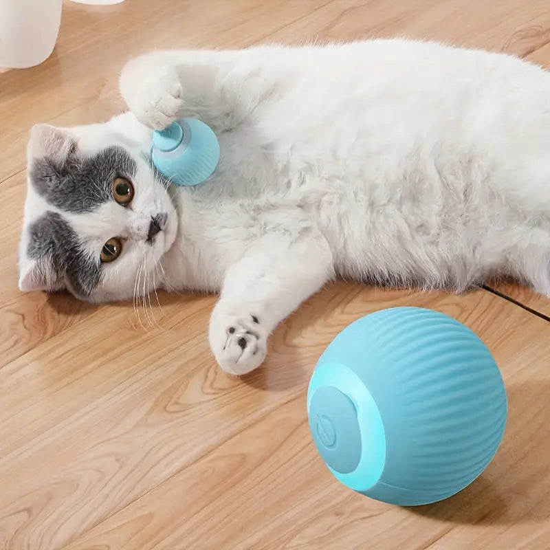 Smarter Katzenball – Endloser Spaß für deine Katze