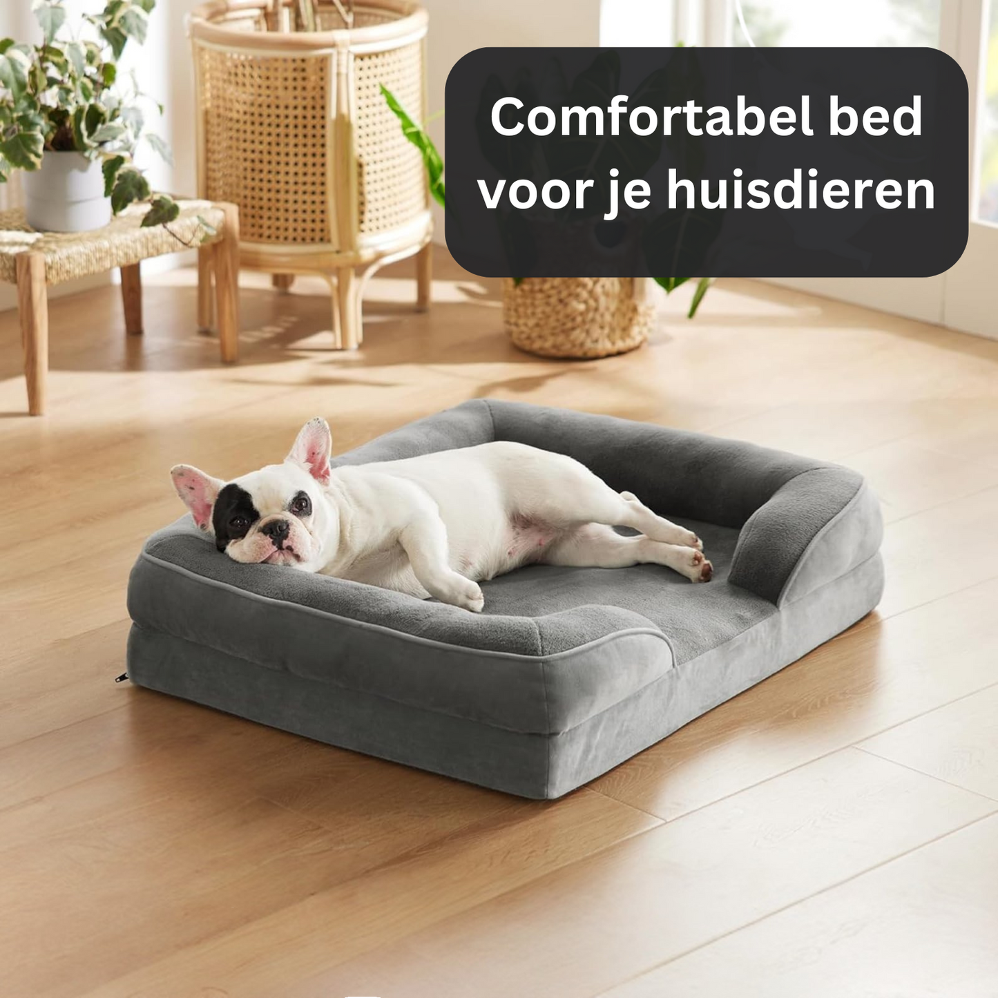 Orthopaedic Dog Bed with Memory Foam and Plush Covering