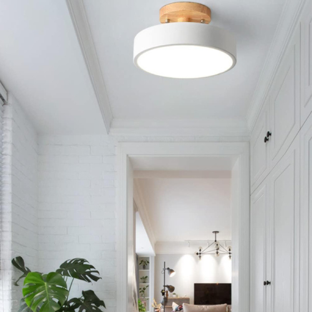 Modern Floor Lamp with LED and Colour Options