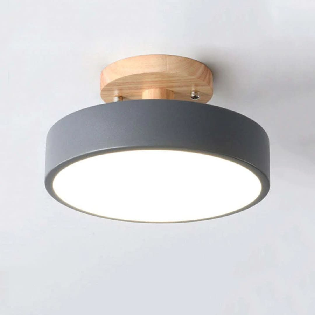 Quinn Modern LED Ceiling Light