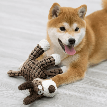 Giocattolo Morbido Sostenibile per Cani Coccola Cane