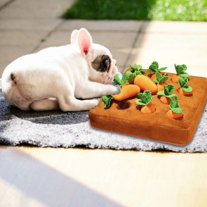 PlayPET – Carrot Plush Chew Toy for Dogs Snuffle Toy