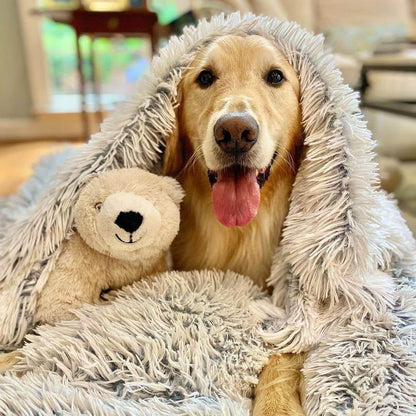 Plüsch-Hundedecke mit weichen Fasern – Komfort und Geborgenheit für Hunde