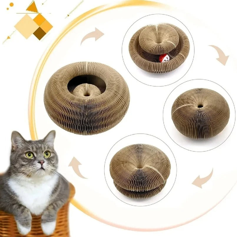 Play & Scratch with Magical Organ Scratching Board