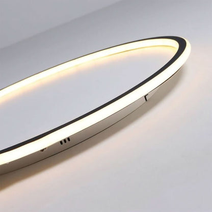 Quinn Modern Round LED Ceiling Light Metal/Acrylic