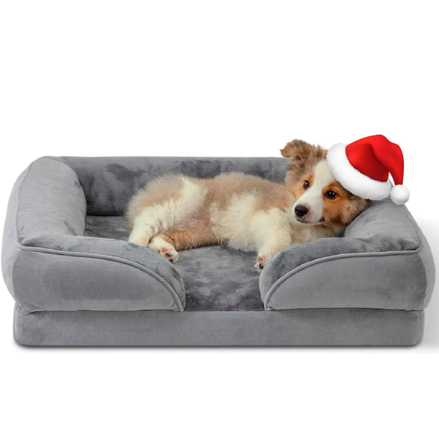 Orthopaedic Dog Bed with Memory Foam and Plush Covering