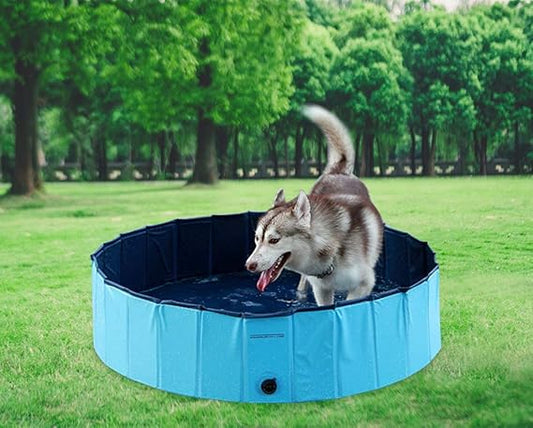 AquaPETS - Piscina para perros resistente y compacta