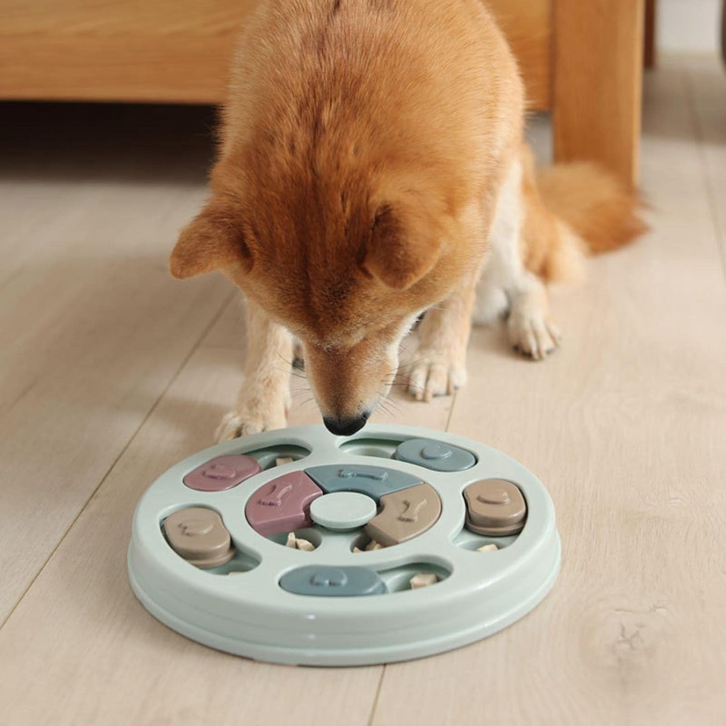 PETLover - Innovative Anti-Gulp Dog Bowl