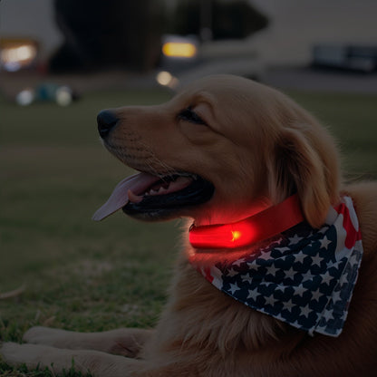 Collare LED per cani con luce – Visibile e sicuro di notte
