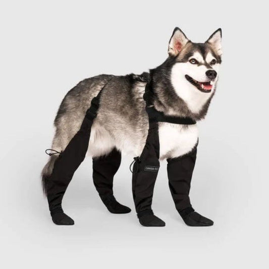 Botas duraderas para perros