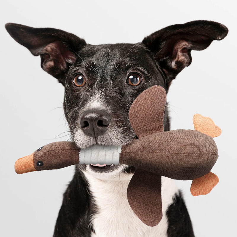PetPlay – Plush Duck Dog Toy
