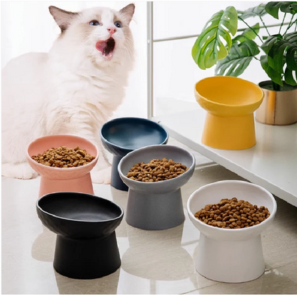 Ceramic Feeding Bowl for Dogs and Cats