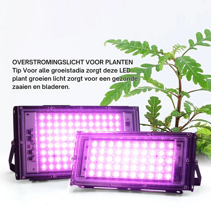 LumoGrow – Full Spectrum LED Grow Light with Remote Control
