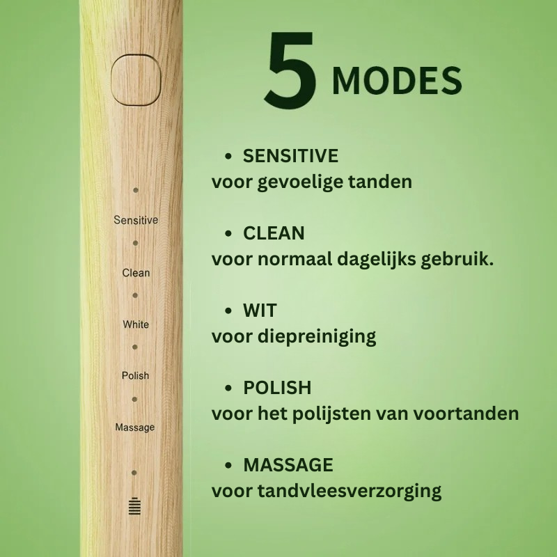 Sustainable Electric Toothbrush with Bamboo Brush Head