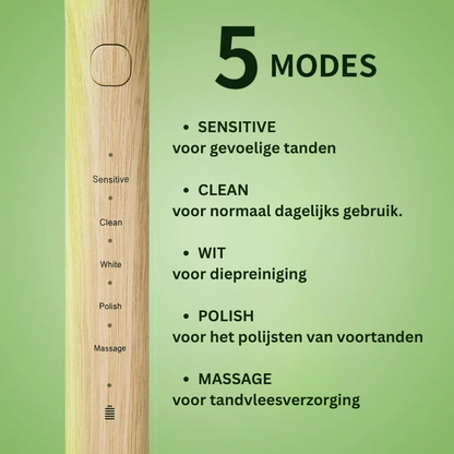 Sustainable Electric Toothbrush with Bamboo Brush Head