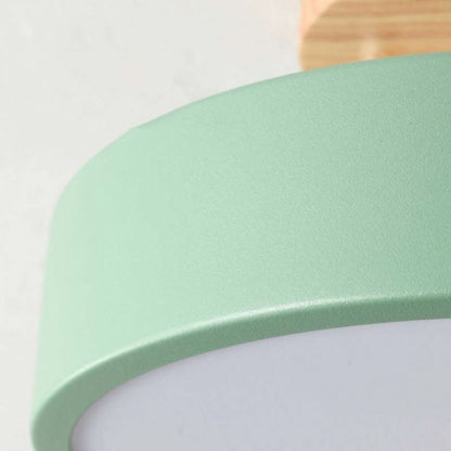 Quinn Modern LED Ceiling Light
