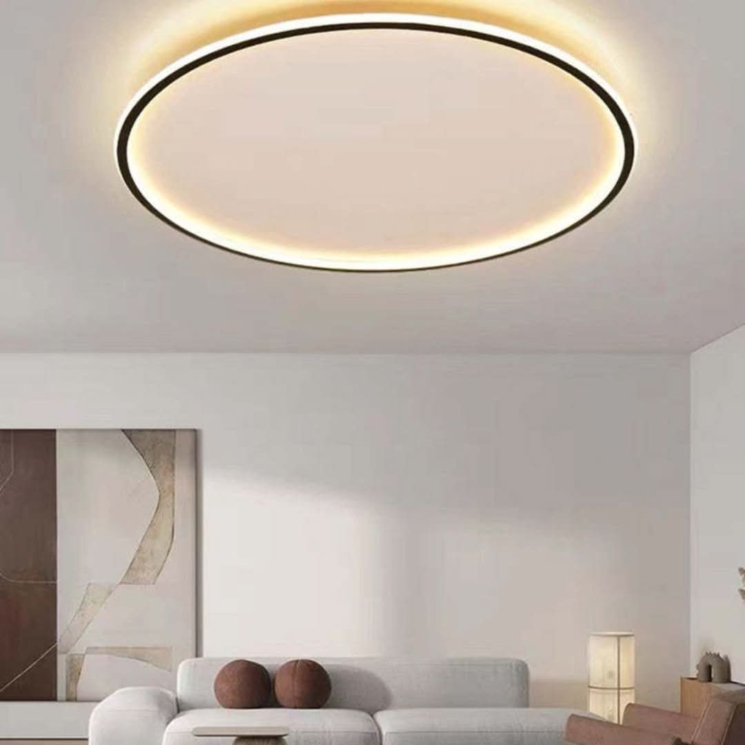 Quinn Modern Round LED Ceiling Light Metal/Acrylic