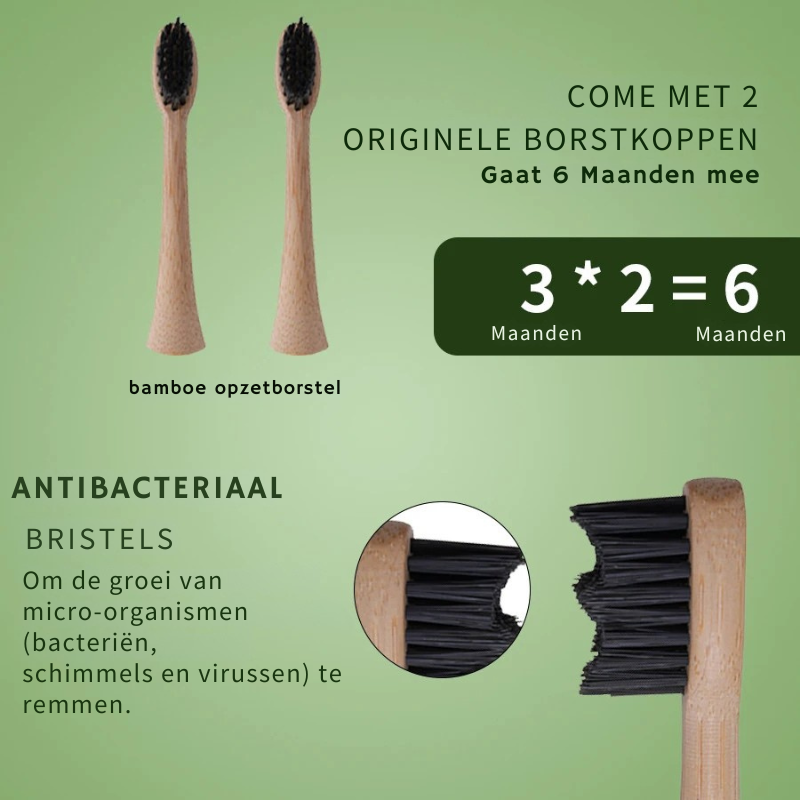 Sustainable Electric Toothbrush with Bamboo Brush Head