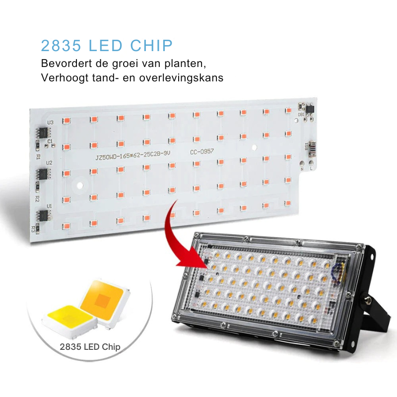 LumoGrow – Full Spectrum LED Grow Light with Remote Control
