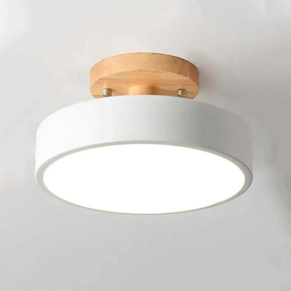 Quinn Modern LED Ceiling Light
