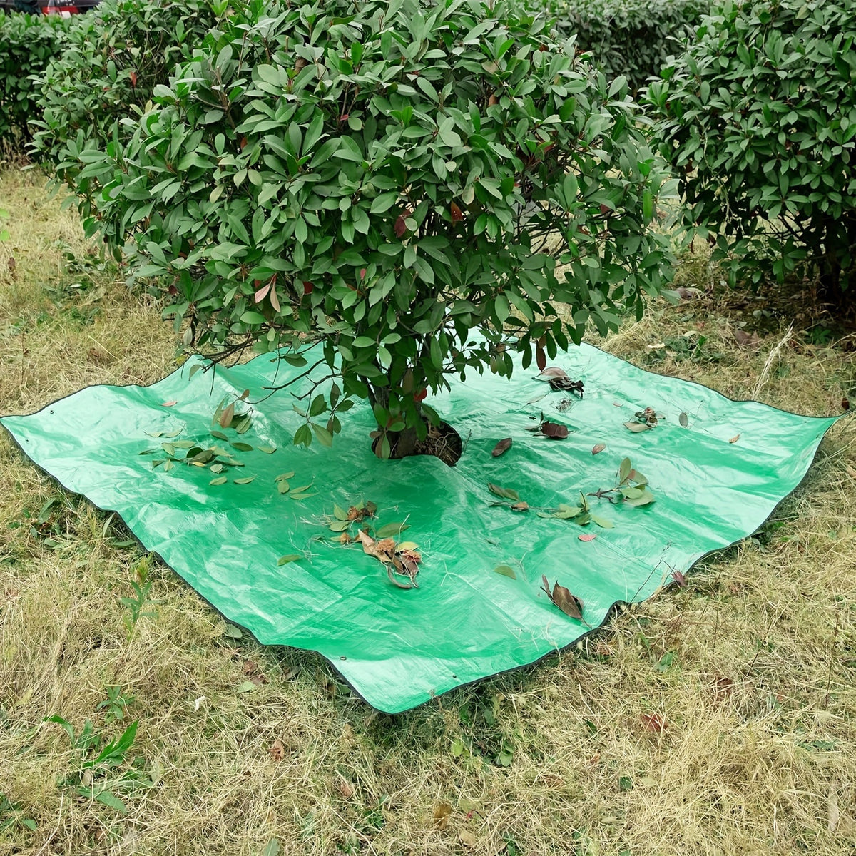 Lona grande para jardín con abertura para árbol – Impermeable, reutilizable y perfecta para podar
