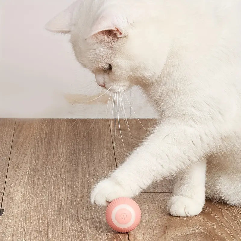 Smarter Katzenball – Endloser Spaß für deine Katze