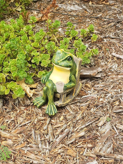 Glowing Frog Garden Decoration
