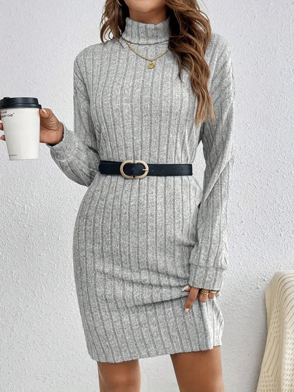Trendy Ribbed Mini Sweater Dress for Women with Roll Neck and Long Sleeves