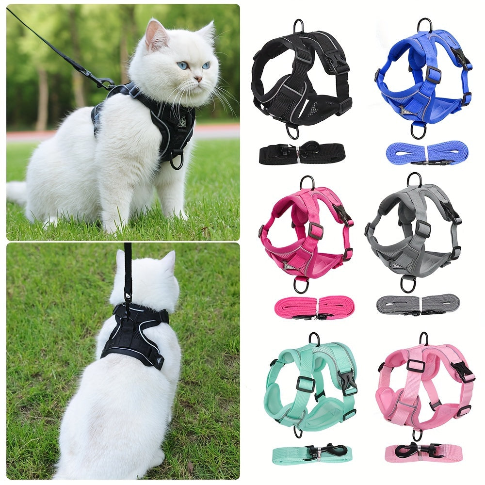 Reflecterend kattentuigje met riem - ideaal voor wandelingen en training