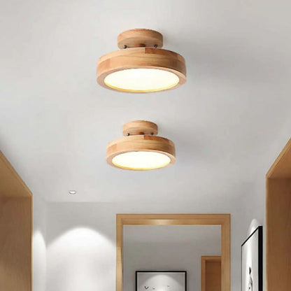 Quinn Modern LED Ceiling Light