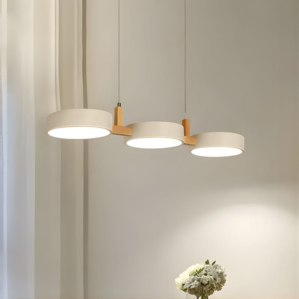 Modern Metal Ceiling Lamp