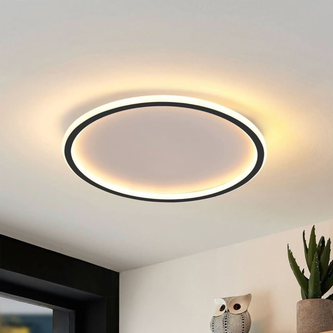 Quinn Modern Round LED Ceiling Light Metal/Acrylic