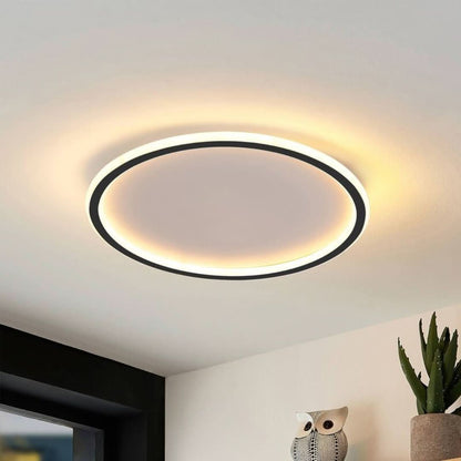 Quinn Modern Round LED Ceiling Light Metal/Acrylic