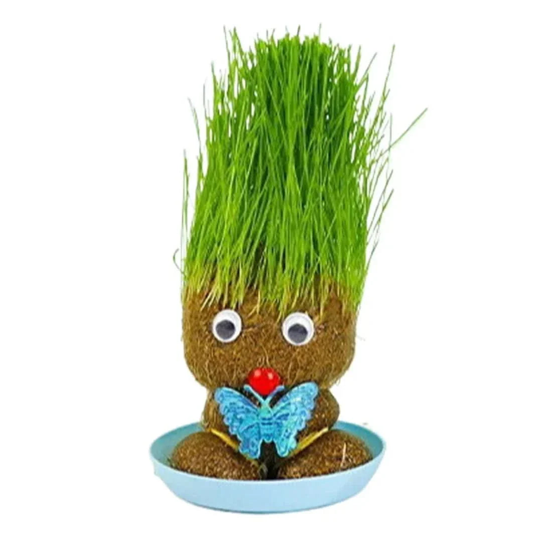 Plante figurative - Creează plante vii
